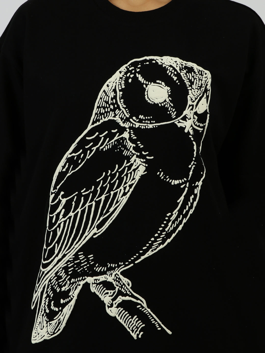 The Enchanted Owl T-Shirt